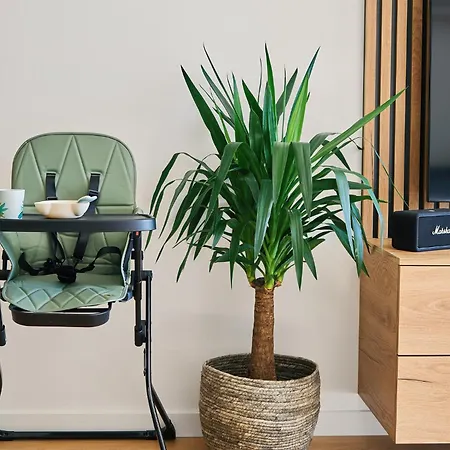 Beta - Free Garage, Air Condition, Garden, At Metro, 2nd Parking On Request * Praga